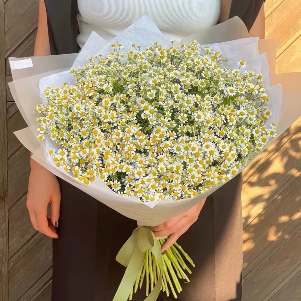 Монобукет матрикари (ромашек) - нежный букет с доставкой