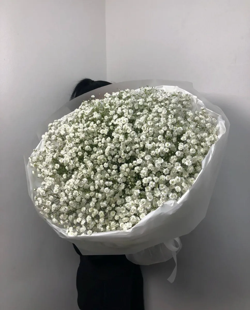 Монобукет из 25 веток гипсофилы